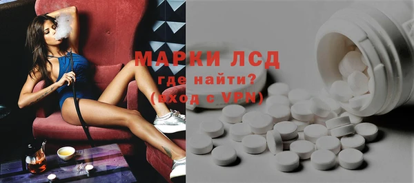 индика Видное