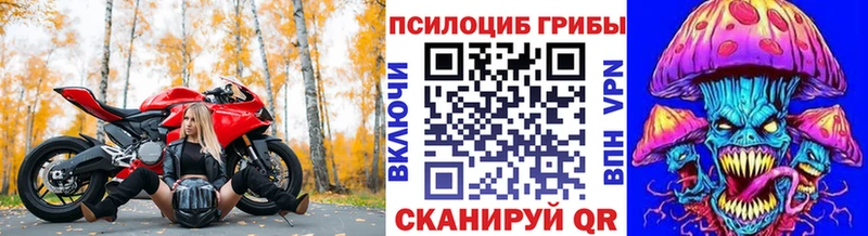 мега как зайти  купить  сайты  Подольск  Псилоцибиновые грибы MAGIC MUSHROOMS 