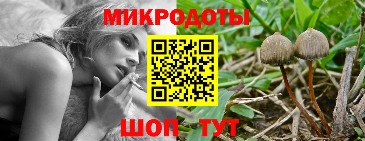 Псилоцибиновые грибы MAGIC MUSHROOMS Подольск